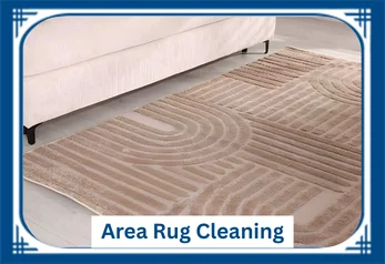 Area Rug Cleaning