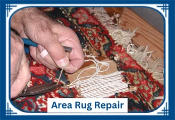 Detailed Rug Cleaning